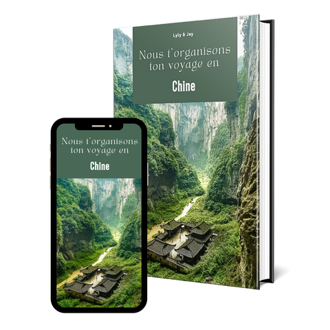 EBOOK CHINE
